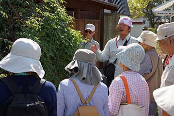 こちらも最近植物園に仲間入りした植物。事務所の前に緑のカーテン代わりに育ててみたのですが…。