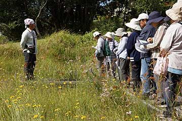 秋の湿地や草原には様々な花が咲いています。これぞ、秋のお花畑。