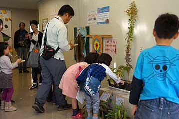 外来植物の展示に興味を持ってくれる子供たちも。セイタカアワダチソウの茎の硬さに驚いていたようです。