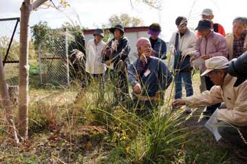 第8回の「植物園を楽しむ会」。そろそろ花の観察は難しい季節なので、今回は様々な植物の種や実について紹介をしました。イヌハギの閉鎖花について解説中。