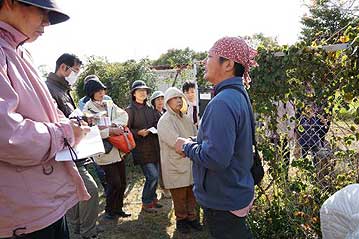 湿地エリアに移動する前に、温室エリアのフェンスに絡みついている、タンキリマメについて解説中。