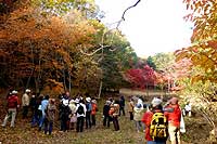 18日：「植物園を楽しむ会（リンドウと種や実の不思議を楽しむ）」