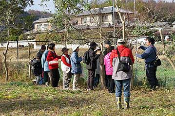 第9回、2012年最後の「植物園を楽しむ会」。今回は工作ということで園内の観察はなし…と思ってしまった方が多かったのか、参加者は少なめの16人でした。