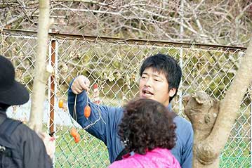 工作に取りかかる前に、園内で、クリスマスリースの飾りに使える植物について解説を行いました。これは夏の夜に繊細な花を咲かせていたカラスウリの実。