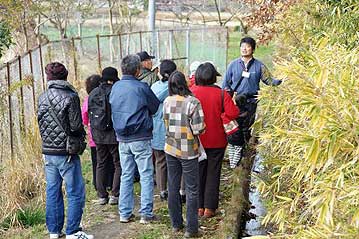 温室エリアから湿地エリアへの移動の途中の道端にもリースに使える植物を発見！