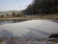 15日：雪化粧をした池の氷