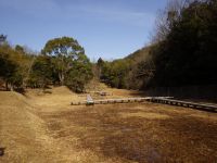 8日：内部と周辺の草刈りがほぼ終わり、春支度がほぼ整った園内の湿地。