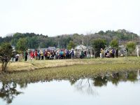 25日：植物園を楽しむ会60「オキナグサの春を楽しむ」