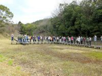 25日：植物園を楽しむ会60「オキナグサの春を楽しむ」