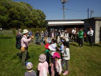 23日：倉敷市立自然史博物館友の会 観察会「重井薬用植物園の春」