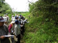 21日：植物園を楽しむ会62「小満の里山を楽しむ」