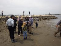 3日：自然観察会「西大寺・ハマウツボと砂地の生き物観察会」