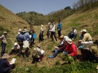 7日：自然観察会「サクラソウと蒜山の春」