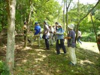 11日：「植物園を楽しむ会65（精霊花と山歩を楽しむ）」