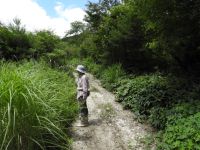 13日：希少植物 元自生地確認・現状調査（林道造成によって湿地が消滅した場所）