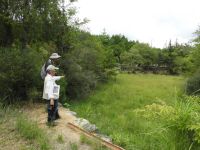 25日：愛知学院大学 講師の方 湧水湿地調査協力（岡山市北区の湿地にて）