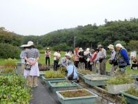 20日：NHK文化センター鳥取 植物観察講座