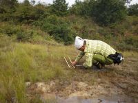 5日：倉敷美しい森 外来食虫植物駆除作業・モウセンゴケ類調査