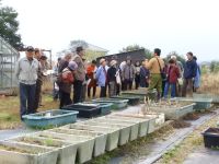 徳島県薬草協会神山町支部 見学