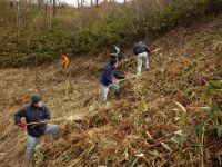 25日：「秋の草原保全活動」（真庭市）