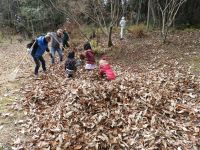  25日：落葉に埋もれて遊ぶ子供たち