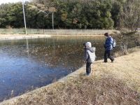 14日：植物園を楽しむ会 開会前凍結した池に氷を投げて遊ぶ子供たち