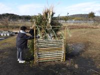 14日：植物園を楽しむ会 開会前とんど焼きのやぐらに正月飾りを置く参加者