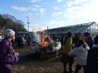 14日：植物園を楽しむ会70「火打石でとんど焼きを楽しむ」燃えるとんど焼き