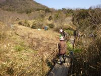 23日：倉敷美しい森 湿地保全活動