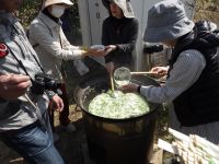 24日：植物園を楽しむ会「筆の花咲く春を楽しむ」倉敷の自然をまもる会による 野草のお粥サービス