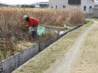 7日：市道のゴミ拾いをするボランティアさん