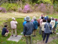11日：倉敷市内 自然観察グループ「カタクリの会」見学
