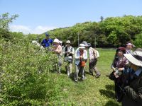 18日：NHK松山文化センター 植物観察講座 見学