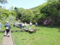 21日：植物園を楽しむ会73「躑躅（つつじ）の春を楽しむ」