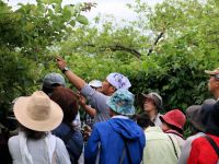 19日：植物園を楽しむ会74「白妙の花々を楽しむ」