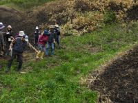 6日：「サクラソウと蒜山の春」サクラソウの観察の様子