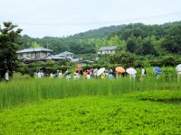 23日：植物園を楽しむ会75「花々のいにしえを楽しむ」