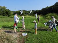 4日：「夏の！虫をつかまえてみるかい！」開始直後の様子