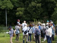 23日：植物園を楽しむ会78（ワレモコウ咲く秋分を楽しむ）ミヤギノハギの観察中