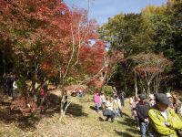 18日：植物園を楽しむ会80（錦繡の里山を楽しむ）