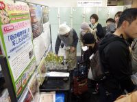 3日：第18回「11月3日は自然史博物館まつり」植物園 出張コーナー（植物苗のプレゼント）