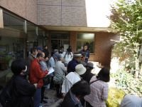 4日：ツメレンゲ観察会（しげい病院1F ミニビオトープの見学）