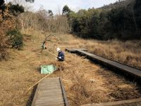 23日：湿地内部 草刈り・刈草 搬出作業（ボランティア活動）