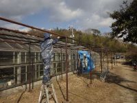 18日：温室南 果樹棚 塗装作業（ボランティア活動）