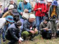 24日：植物園を楽しむ会84（駒返る草花の恵みを楽しむ）