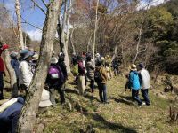 24日：植物園を楽しむ会84（駒返る草花の恵みを楽しむ）