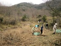 6日：倉敷美しい森 湿原保全活動