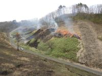 28日：蒜山サクラソウ自生地 山焼き（午後：サクラソウ自生地）