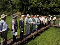 11日：寄島町アッケシソウを守る会 見学