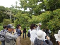 18日：小豆島自然観察会 見学